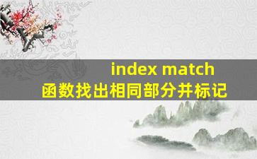 index match函数找出相同部分并标记